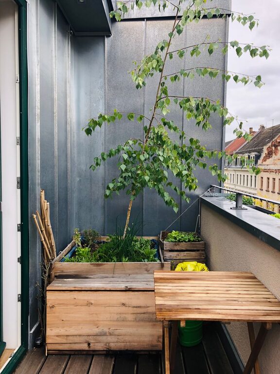 Cum amenajezi un balcon mic pentru relaxare și plante